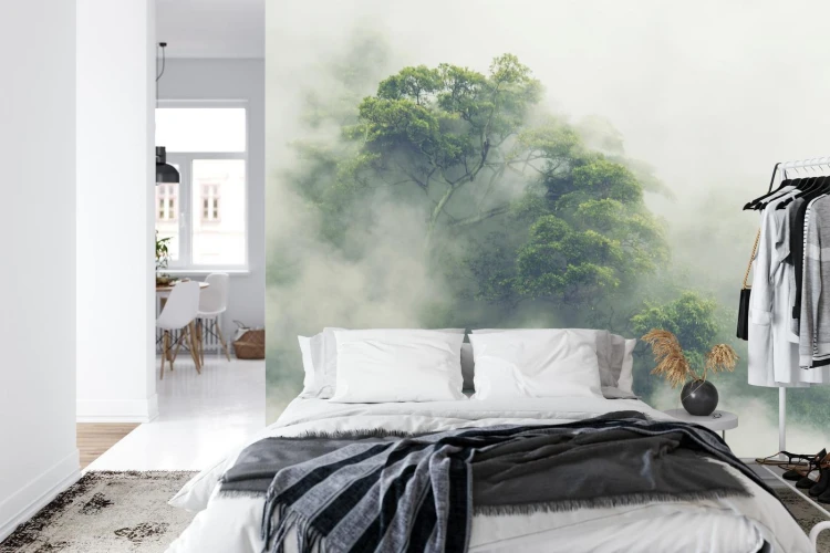 Fototapeta Tropical Forest In Japan  Nature Jungle With Green Tree And Fog  Concept Of Zin Therapy Comfortable Freedom Relaxing For Spa And Yoga  Eco Natural Sustainable Conservation
