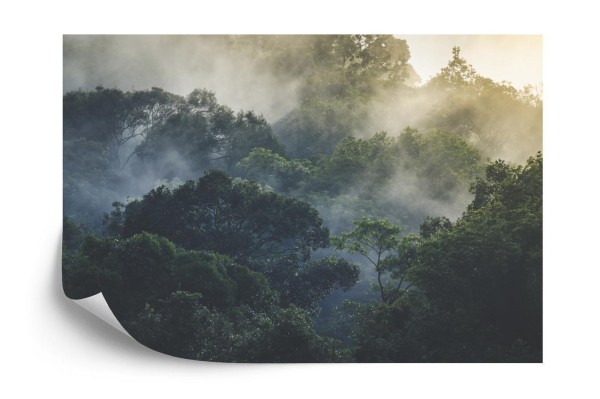 Fototapeta Landscape Of Asia Tropical Rainforest  Canopy Tree Of Jungle Green Forest Park Outdoor  Nature Environment Mountain View  Concept Of Freedom Relaxation In Holiday For Spa Yoga And Retreat