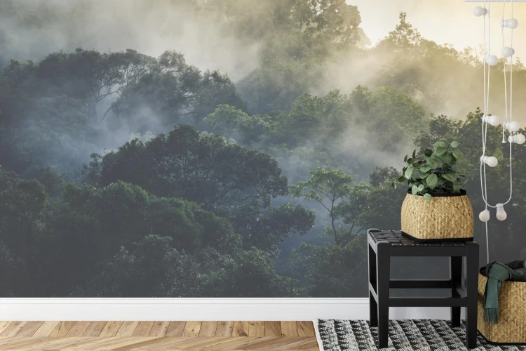 Fototapeta Landscape Of Asia Tropical Rainforest  Canopy Tree Of Jungle Green Forest Park Outdoor  Nature Environment Mountain View  Concept Of Freedom Relaxation In Holiday For Spa Yoga And Retreat