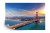 Fototapeta Golden Gate Bridge In San Francisco