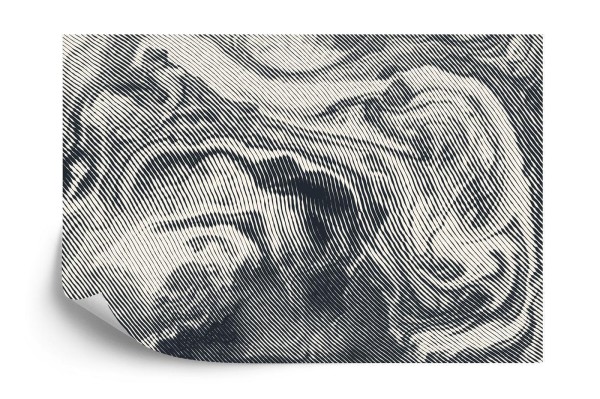 Fototapeta Abstract Halftone Background  Retro Engraving Style.