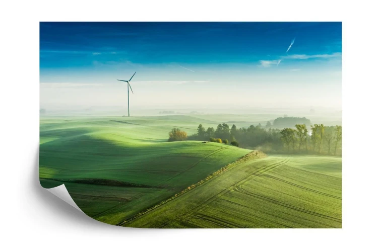 Fototapeta Widok Z Lotu Ptaka Na Zielone Pola 3D