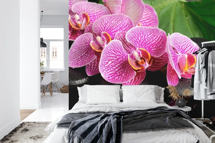 Fototapeta Orchidea Spa