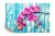 Fototapeta Orchidee Na Tle Desek
