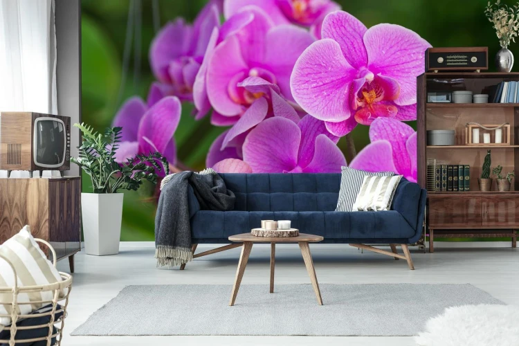 Fototapeta Kwiaty Orchidei 3D
