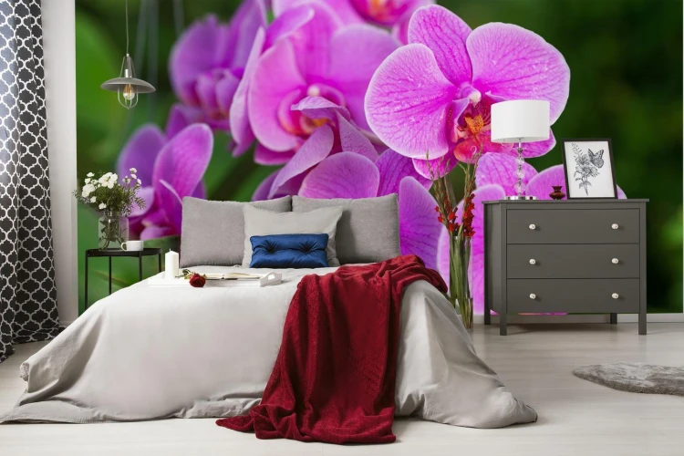 Fototapeta Kwiaty Orchidei 3D