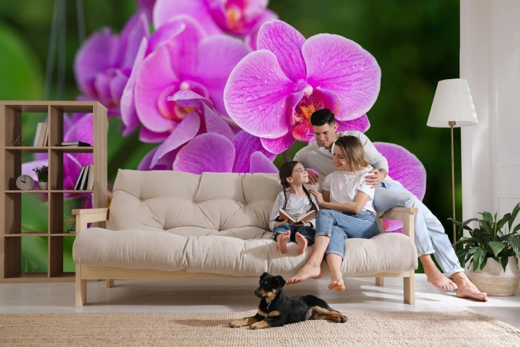 Fototapeta Kwiaty Orchidei 3D