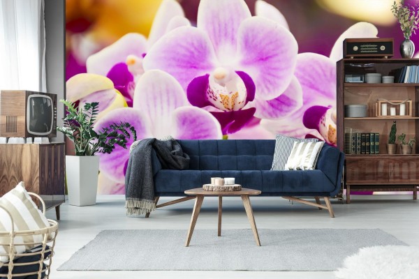 Fototapeta Tropikalna Orchidea