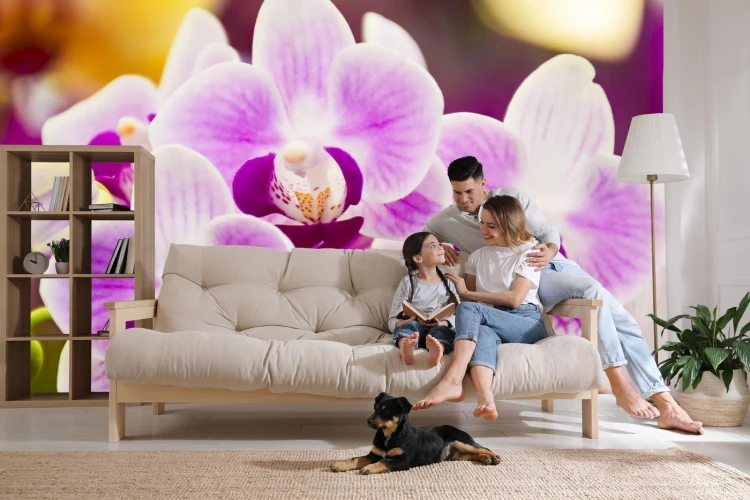 Fototapeta Tropikalna Orchidea