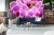 Fototapeta Bukiet Orchidei
