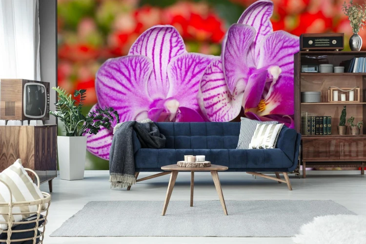 Fototapeta Optyczna Orchidea 3D