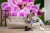 Fototapeta Bukiet Orchidei