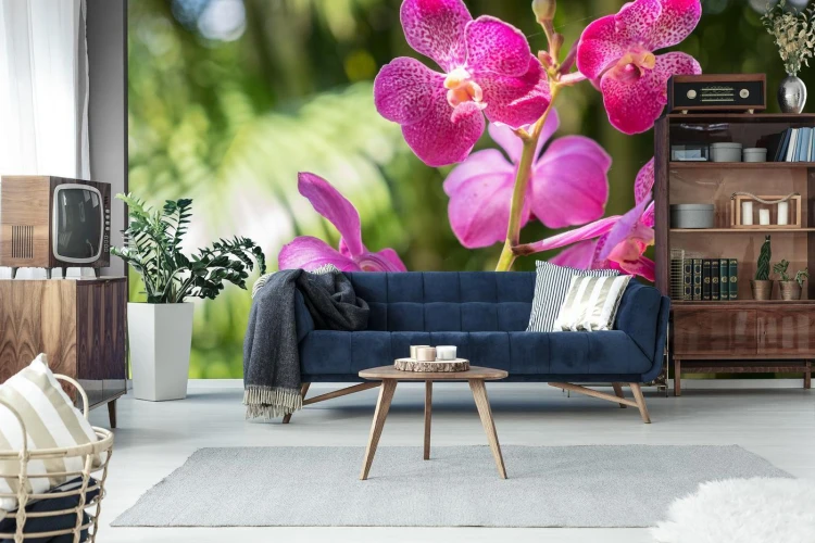 Fototapeta Piękne Orchidee