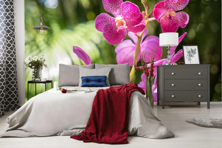 Fototapeta Piękne Orchidee