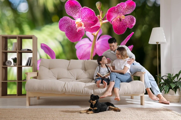 Fototapeta Piękne Orchidee