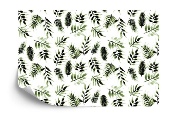 Fototapeta Liście Natura