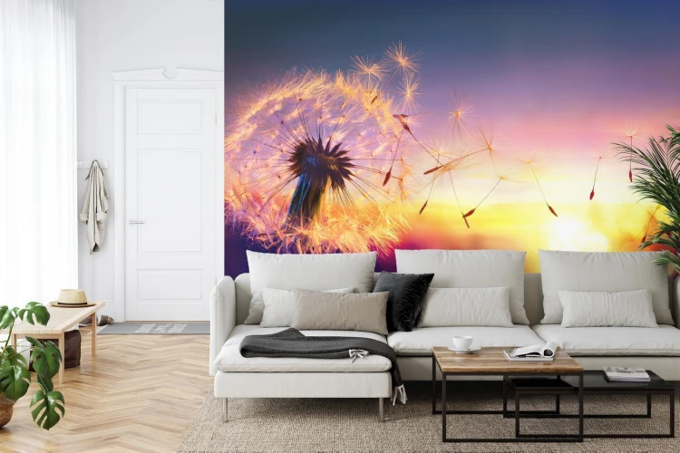 Fototapeta Optyczna Dmuchawiec