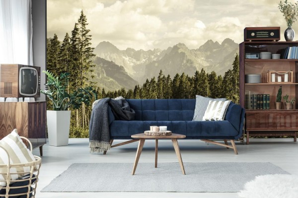 Fototapeta Las Góry