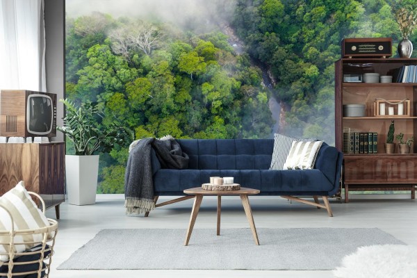 Fototapeta Las We Mgle