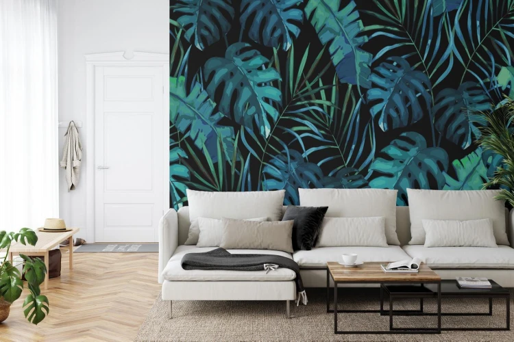 Fototapeta Liście Monstera