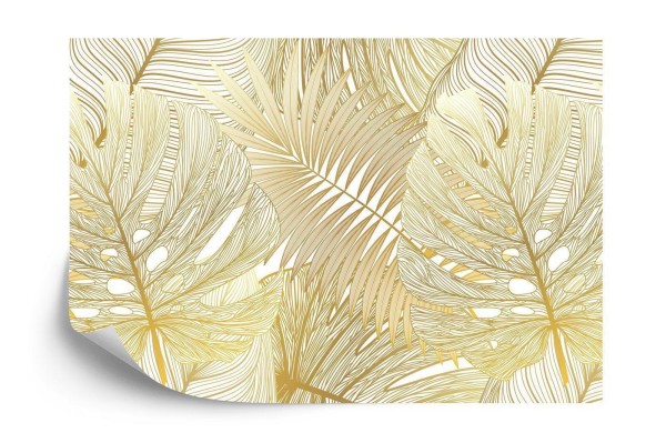 Fototapeta Liście Monstera
