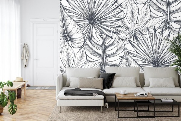 Fototapeta Liście Monstera