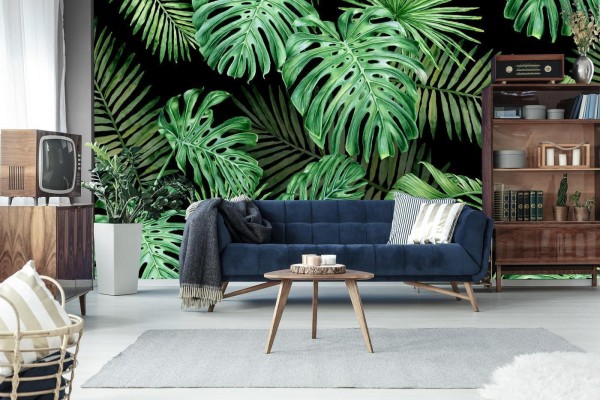 Fototapeta Liście Monstera