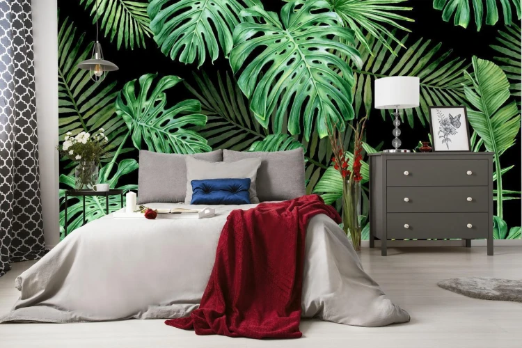 Fototapeta Liście Monstera