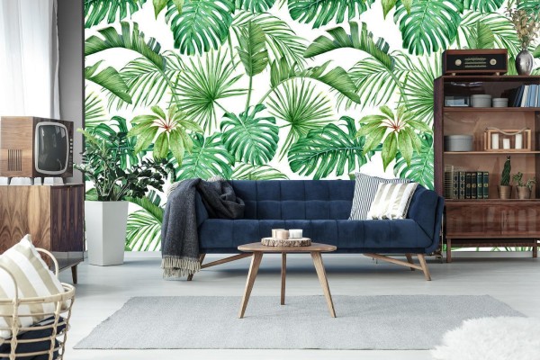 Fototapeta Liście Monstera