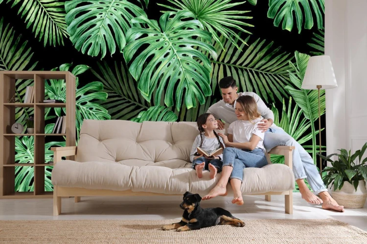Fototapeta Liście Monstera
