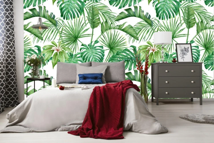 Fototapeta Liście Monstera