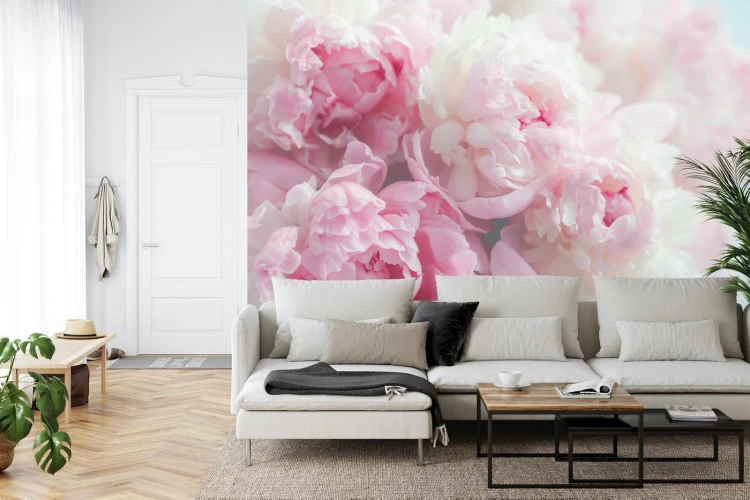 Fototapeta Kwitnące Peonie