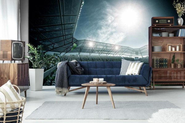 Fototapeta Stadion Piłka Nożna