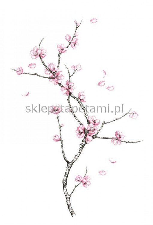 pic208557861642.jpg