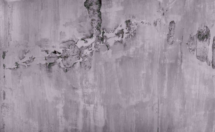 Panel Rasch Factory 439915.jpg